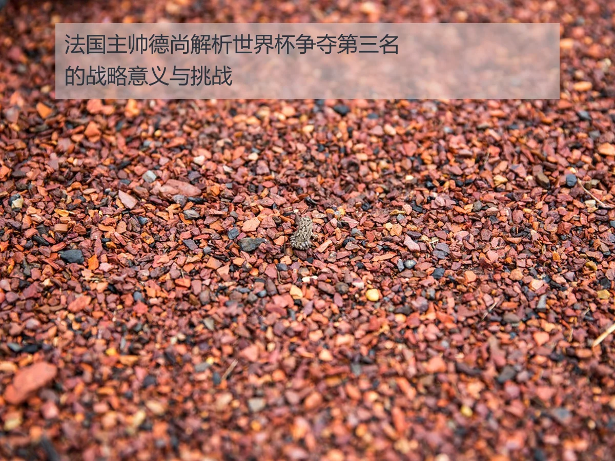 法国主帅德尚解析世界杯争夺第三名的战略意义与挑战